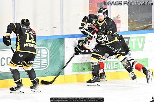 2025-02-08 Mastini Varese-Hockey Caldaro 4129 Michael Mazzacane
